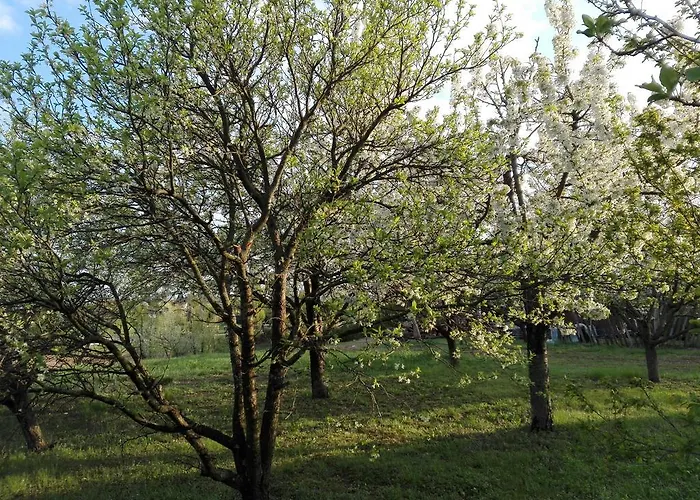 Casa vacanze Sunny *